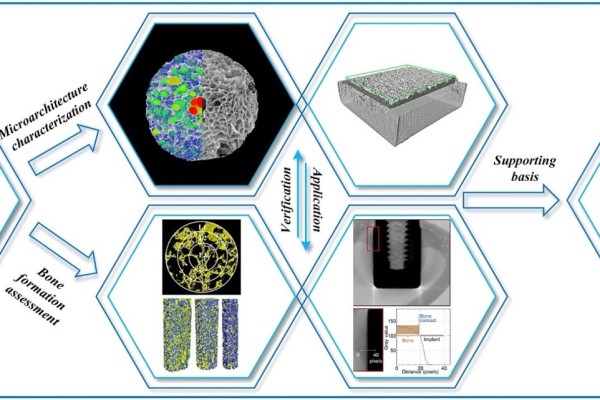 3D X-ray Micro Computed Tomography Imaging for The Microarchitecture Evaluation of Porous Metallic Implants and Scaffolds